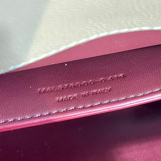 CASSANDRA_公文包-杏色金扣 商品图8