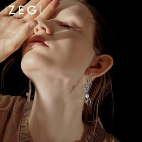 ZENGLIU设计师美人鱼系列线条耳环2021新款潮月亮耳钉女银针耳饰