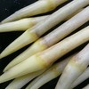 【下单后48小时左右发货】湖北 荆州 洪湖青泥巴 藕带2斤装左右 商品缩略图8