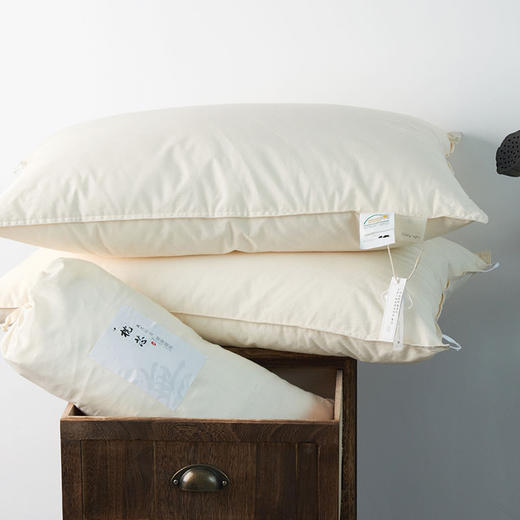 【A类原棉枕】无荧光枕芯原棉枕头纯色米白柔软枕芯A类面料蓬松枕 商品图9