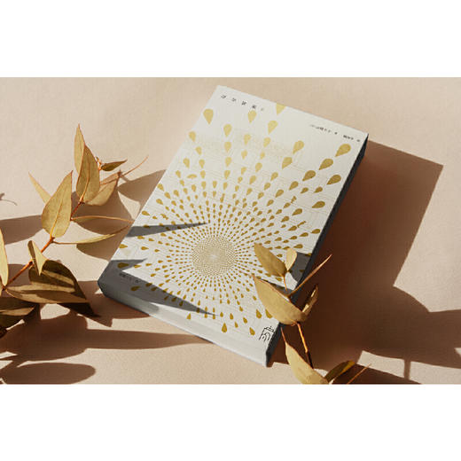 浮华世家（山崎丰子继《白色巨塔》之后又一现实主义力作。日本热卖2700000册，不可错过的20世纪文学经典巨著。） 商品图4