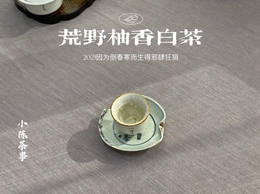 2021荒野柚香白茶，仿佛是在四月的春天，误入了一片柚子林（限时抢购） 商品图14