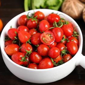 釜山小番茄  3斤家庭装  （顺丰/京东随机发货）
