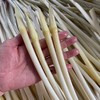 【下单后48小时左右发货】湖北 荆州 洪湖青泥巴 藕带2斤装左右 商品缩略图9