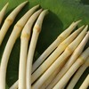 【下单后48小时左右发货】湖北 荆州 洪湖青泥巴 藕带2斤装左右 商品缩略图7