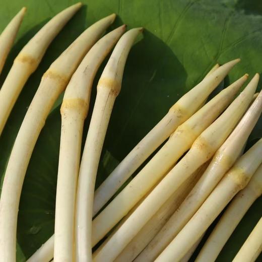 【下单后48小时左右发货】湖北 荆州 洪湖青泥巴 藕带2斤装左右 商品图7