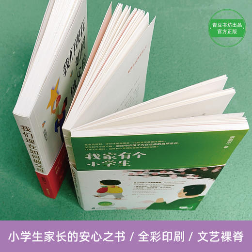 蔡朝阳《我们现在如何做父母》《我家有个小学生》 商品图3