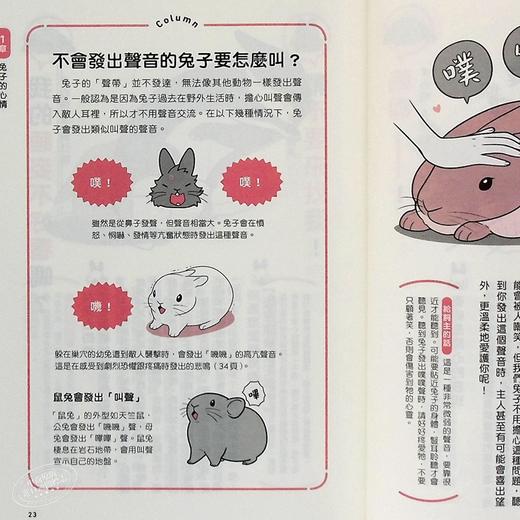 【中商原版】兔兔跟你想的不一样 了解兔兔的130个真心话 港台原版 石毛じゅんこ 今泉忠明 枫叶社文化 商品图6