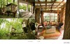 Renovate Innovate: Reclaimed and Upcycled Homes/改造创新：回收和升级的家园 商品缩略图4