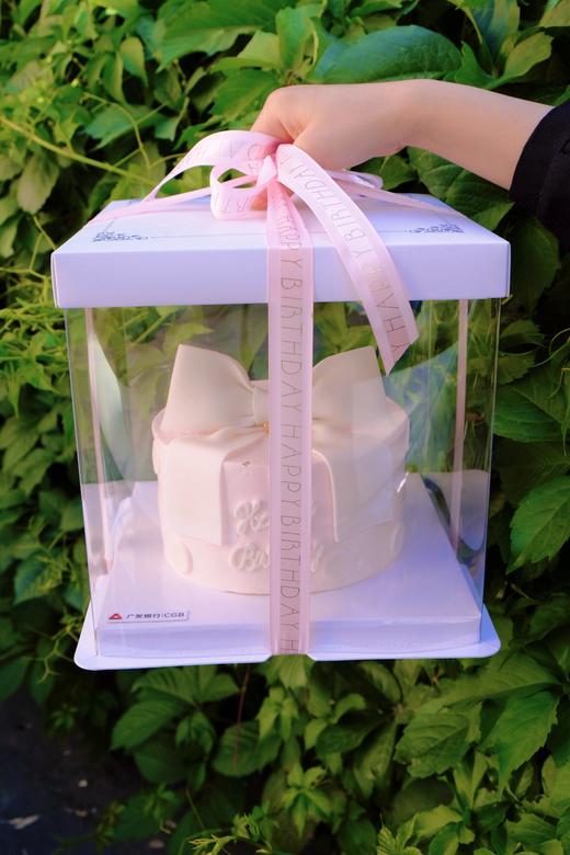 粉白色蝴蝶结蛋糕（务必提前12小时下单） 商品图1