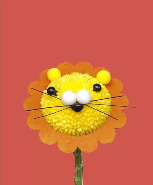 ygby花努力乒乓菊黄色c级1