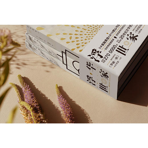 浮华世家（山崎丰子继《白色巨塔》之后又一现实主义力作。日本热卖2700000册，不可错过的20世纪文学经典巨著。） 商品图1