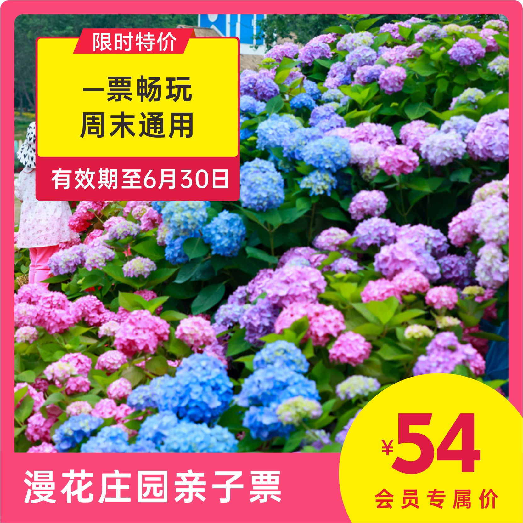 Vip减7元 漫花庄园亲子票 一票畅玩夏威夷沙滩 快乐大本营 萌宠乐园 赏花海 至6月30日有效 蚂蚁亲子微店