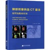 肺部双重供血CT灌注成像原理及临床应用 商品缩略图0