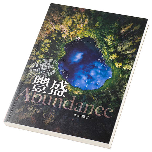 【中商原版】丰盛 港台原版 杨定一 天下生活 心灵成长 励志 商品图2