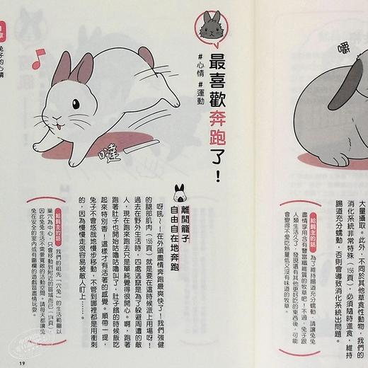 【中商原版】兔兔跟你想的不一样 了解兔兔的130个真心话 港台原版 石毛じゅんこ 今泉忠明 枫叶社文化 商品图4