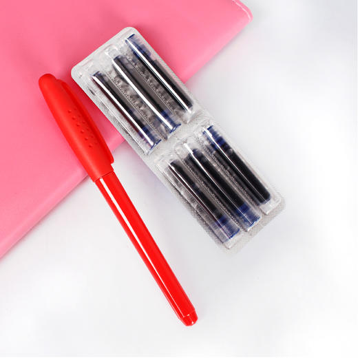 白雪换囊钢笔/FP6113 商品图2