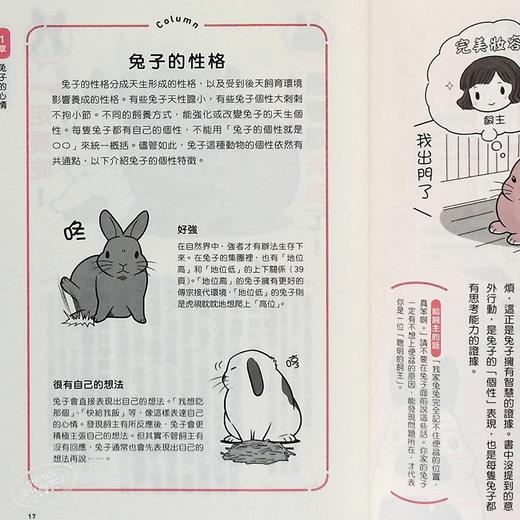 【中商原版】兔兔跟你想的不一样 了解兔兔的130个真心话 港台原版 石毛じゅんこ 今泉忠明 枫叶社文化 商品图7