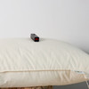 【A类原棉枕】无荧光枕芯原棉枕头纯色米白柔软枕芯A类面料蓬松枕 商品缩略图11