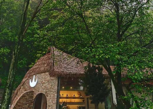 【赵公山-城外有星光山盟温泉民宿】纳凉耍水·玩熊猫谷，180°山景房私汤入户，无边泳池与山海为邻 商品图1