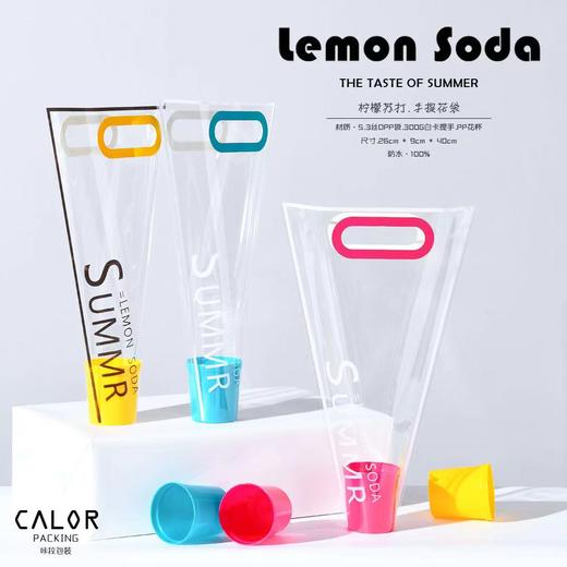 三角汽水袋 商品图4