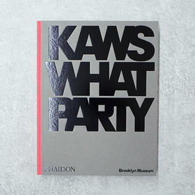 KAWS WHAT PARTY 正版进口艺术设计集英文原版画册