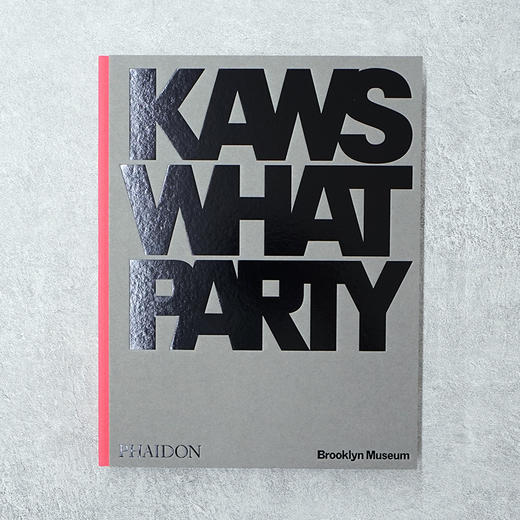 KAWS WHAT PARTY 正版进口艺术设计集英文原版画册 商品图0