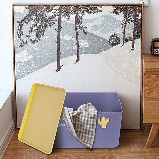 绣川彩虹收纳盒（颜色随机） 商品图4