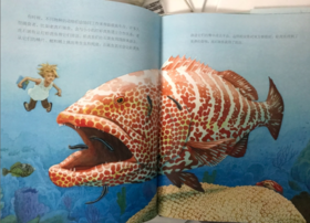 《穿越寒武纪珊瑚礁》：给孩子的第一视觉感受，就是很美