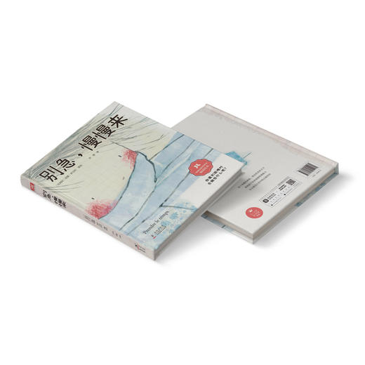 别急，慢慢来：比利时知名绘本作家暖心成长之作 商品图2