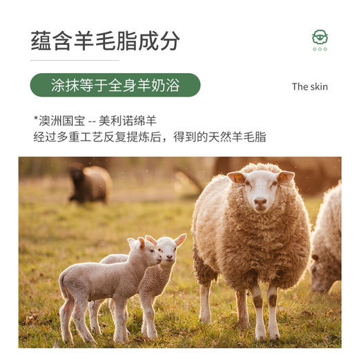 雅琪诺凡士林绵羊油滋润霜 商品图2