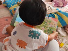 《小鸡球球智能点读笔》：里面的知识点就算大人读起来都很受用