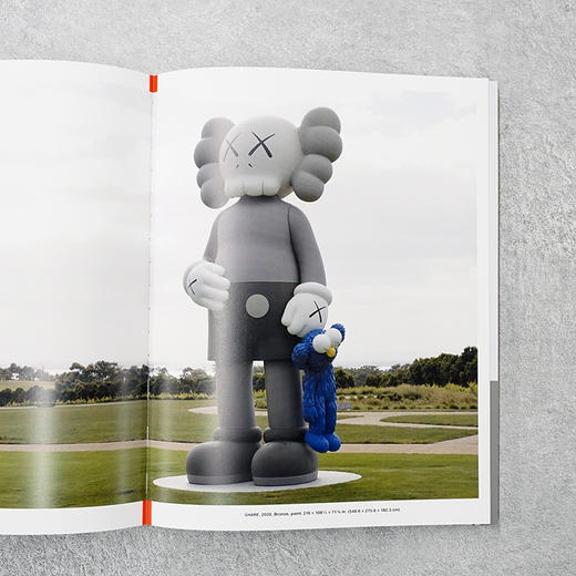 KAWS WHAT PARTY 正版进口艺术设计集英文原版画册 商品图5