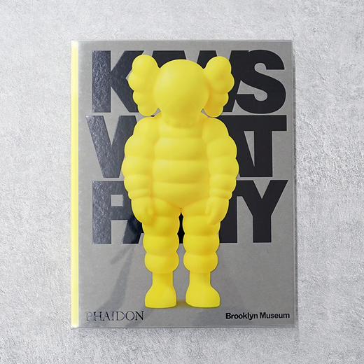 KAWS WHAT PARTY 正版进口艺术设计集英文原版画册 商品图3