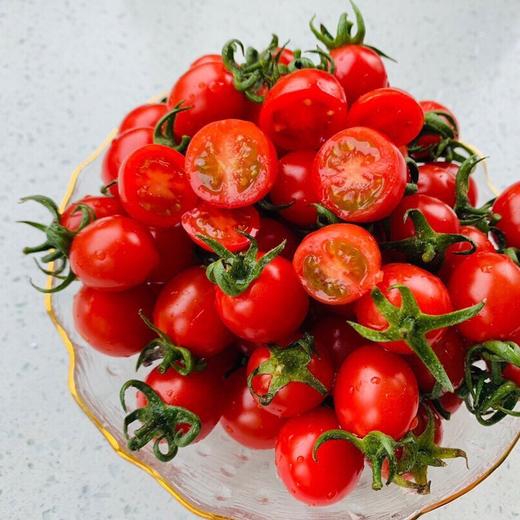 釜山小番茄  3斤家庭装  （顺丰/京东随机发货） 商品图8