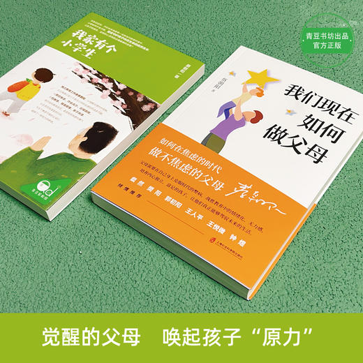 蔡朝阳《我们现在如何做父母》《我家有个小学生》 商品图0
