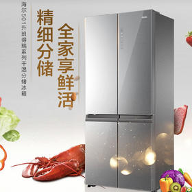 海尔（Haier）冰箱BCD-501WDCNU1