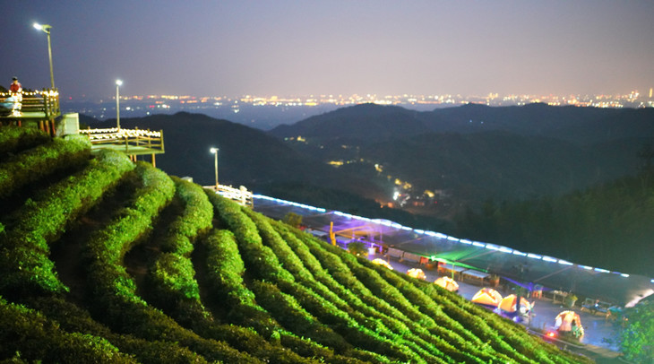 398元起抢【望城黑麋峰星空茶园树屋民宿】套餐,山顶独栋树屋别墅