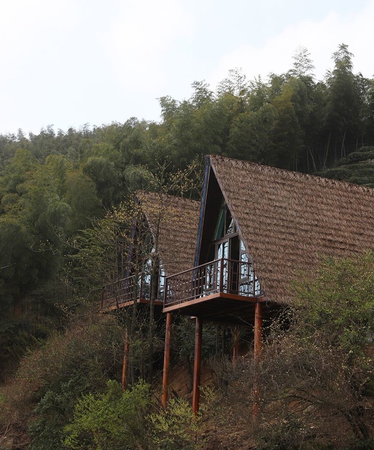 398元起抢【望城黑麋峰星空茶园树屋民宿】套餐,山顶独栋树屋别墅