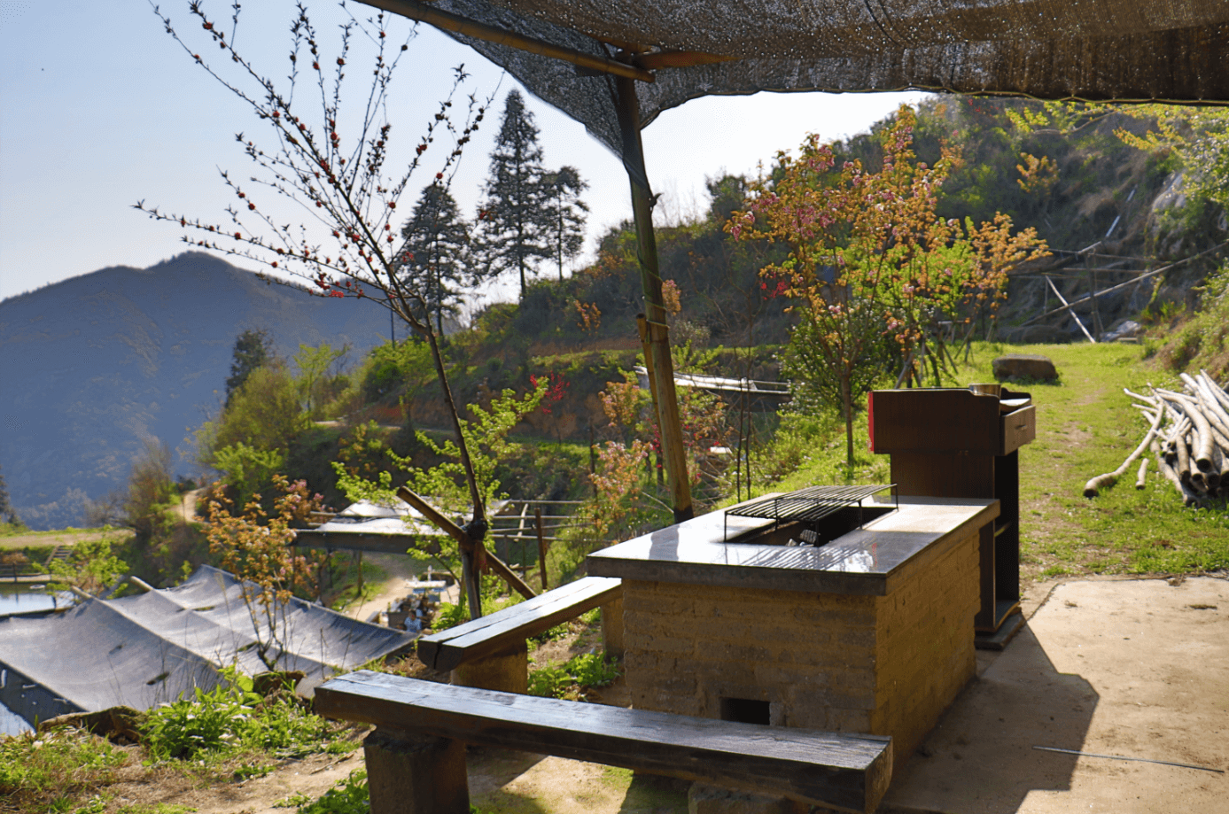 398元起抢【望城黑麋峰星空茶园树屋民宿】套餐,山顶独栋树屋别墅