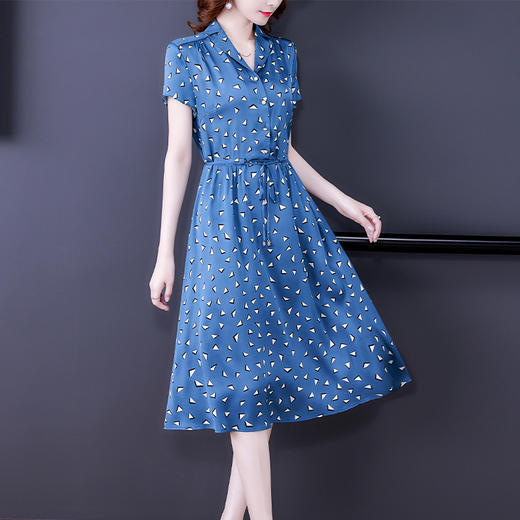 AHM  zxfs1628洋气翻领气质收腰显瘦阔太太连衣裙 商品图1