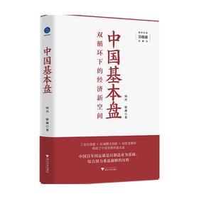中国基本盘 徐鑫 著 经济