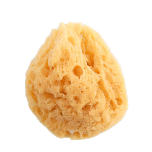 智高天然海藻洗浴海绵大孔00062290400000 商品图1