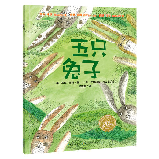 学前阅读经典图画书：米拉·洛贝精选童话系列（全11册）赠 字词句学习手册 2-10岁 11个童话故事50000字阅读量 商品图9
