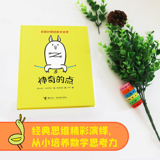 奇思妙想的数学世界 商品图4