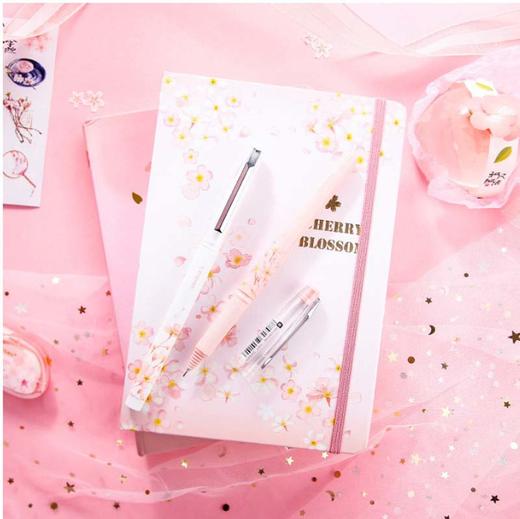 晨光中性笔樱花季限定0.5AGPB4503A黑 商品图3