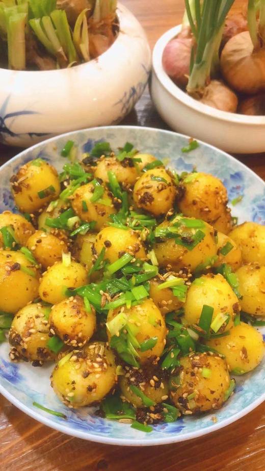 神农架高山洋芋（土豆） 商品图4