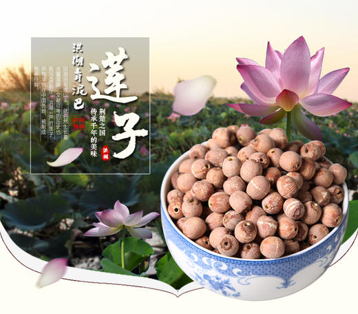 洪湖青泥巴红莲/白莲500克 商品图1