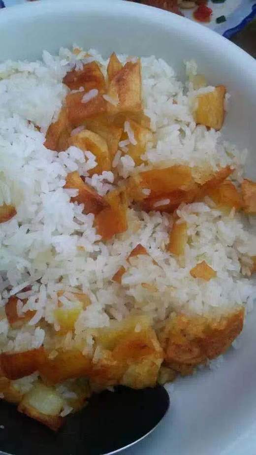 神农架高山洋芋（土豆） 商品图6