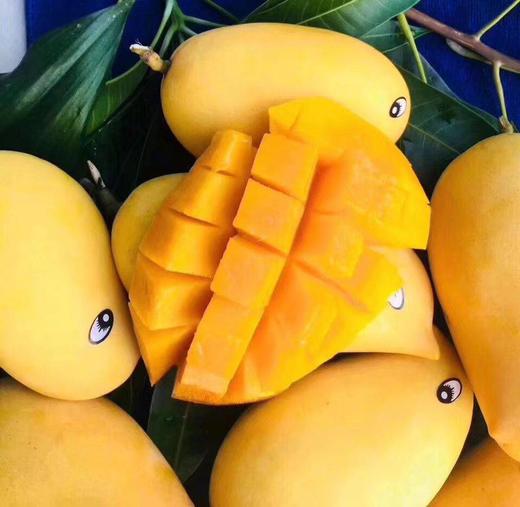 新鲜甜心鹰嘴芒 大果 3个 商品图4